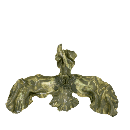 Orchidaceae