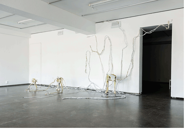 Plants exhibition, Titanik-gallery