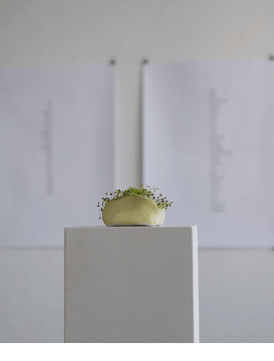 Group show at Oksasenkatu 11
